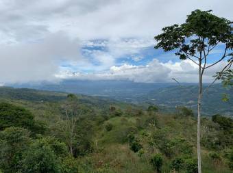 Ganga! Venta de Finca sin intermediarios