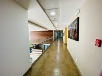PASEO COLON TOWER / 50m2 OFFICE