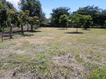 Terreno de 2000 m2 Terreno de 2000 m2