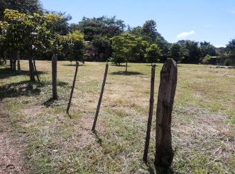 Terreno de 2000 m2 Terreno de 2000 m2