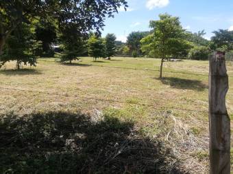 Terreno de 2000 m2 Terreno de 2000 m2