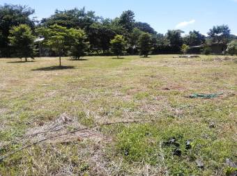 Terreno de 2000 m2 Terreno de 2000 m2