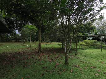 SE VENDE PRECIOSO LOTE PARA QUINTA