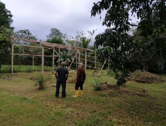 SE VENDE PRECIOSO LOTE PARA QUINTA