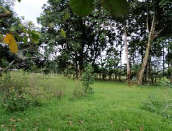 SE VENDE PRECIOSO LOTE PARA QUINTA