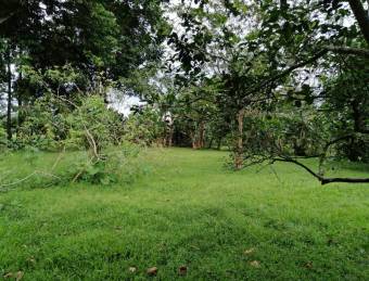 SE VENDE PRECIOSO LOTE PARA QUINTA