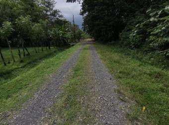 SE VENDE PRECIOSO LOTE PARA QUINTA