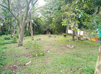 Amplia propiedad en la Ceiba de Alajuela Amplia propiedad en la Ceiba de Alajuela