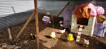 Hermosa casa en venta en un terreno de 735m2 Hermosa casa en venta en un terreno de 735m2