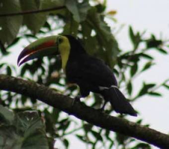 Hermosa casa en venta en un terreno de 735m2 Hermosa casa en venta en un terreno de 735m2