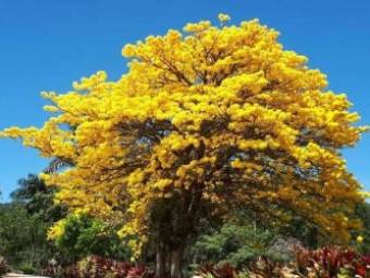 Hermosa casa en venta en un terreno de 735m2 Hermosa casa en venta en un terreno de 735m2