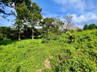 Lote residencial Aves del Paraíso San Rafael de Heredia #1166