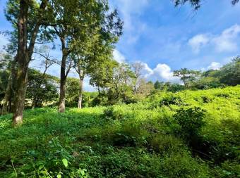 Lote residencial Aves del Paraíso San Rafael de Heredia #1166