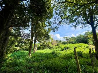 Lote residencial Aves del Paraíso San Rafael de Heredia #1166