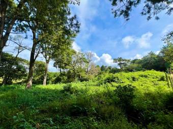 Lote residencial Aves del Paraíso San Rafael de Heredia #1166