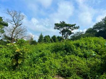 Lote residencial Aves del Paraíso San Rafael de Heredia #1166