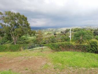 Lote en Venta en Naranjo, Alajuela. RAH 22-1270