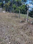 MLS-23-705 VENTA LOTE TUCURRIQUE CARTAGO