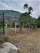 MLS-23-705 VENTA LOTE TUCURRIQUE CARTAGO