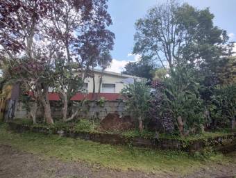 Lote en Venta en Naranjo, Alajuela. RAH 23-739