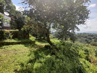 Lote en Venta en Naranjo, Alajuela. RAH 23-739