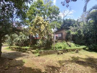 Lote en Venta en Naranjo, Alajuela. RAH 23-739