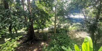 Lote en Venta en Aguirre, Puntarenas. RAH 23-707