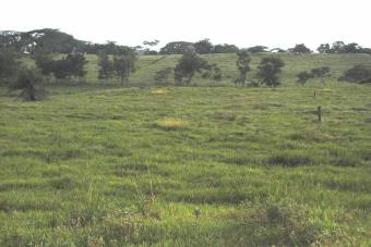 Land for sale in La Garita de Alajuela