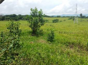 Land for sale in La Garita de Alajuela