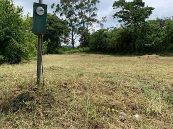 Venta Propiedad Palmares