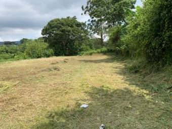 Venta Propiedad Palmares