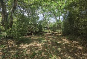 Se vende amplio lote ubicado en exclusiva zona de Brasil de Santa Ana 23-2904