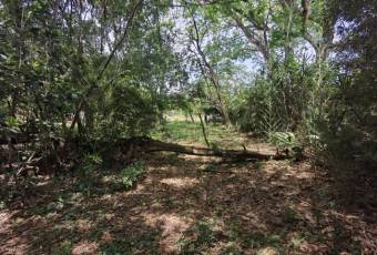 Se vende amplio lote ubicado en exclusiva zona de Brasil de Santa Ana 23-2904