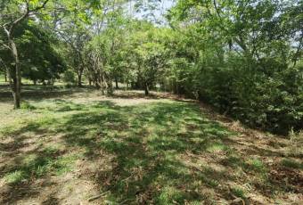 Se vende amplio lote ubicado en exclusiva zona de Brasil de Santa Ana 23-2904