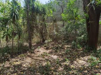 Se vende amplio lote ubicado en exclusiva zona de Brasil de Santa Ana 23-2904