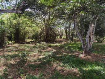 Se vende amplio lote ubicado en exclusiva zona de Brasil de Santa Ana 23-2904