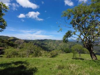 Se vende finca con gran lote de 260,000m2 en Colon de Mora 23-3180