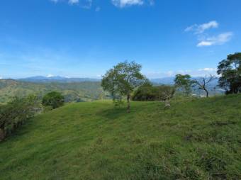 Se vende finca con gran lote de 260,000m2 en Colon de Mora 23-3180