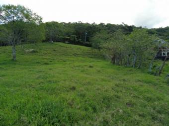 Se vende finca con gran lote de 260,000m2 en Colon de Mora 23-3180