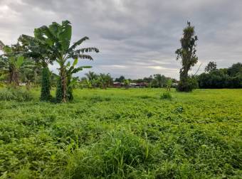 FOR SALE, Central land of 7,100m2, Guacimo