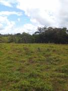 VENDO finca 95 hectáreas- ganado o agricultura- SAN CARLOS ALAJUELA