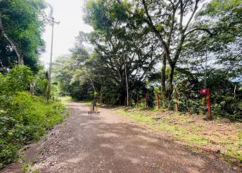 Lot for sale Puriscal Desamparaditos Mora Costa Rica nature