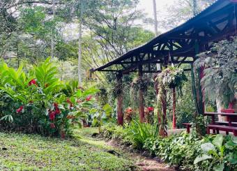 Venta lote Puriscal Desamparaditos cantón de Mora Piedras Negras