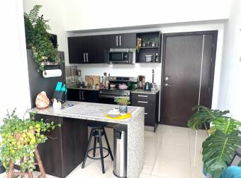 I'm selling 4 moving my eco-system condominium in San Nicolás de Bari, Río Oro