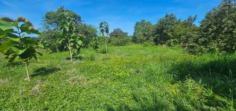 Lote listo para construir en San Pedro de Santa Cruz Guanacaste