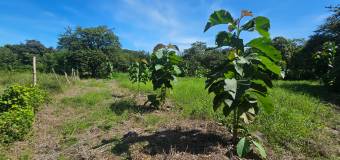 Lote listo para construir en San Pedro de Santa Cruz Guanacaste