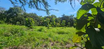 Lote listo para construir en San Pedro de Santa Cruz Guanacaste