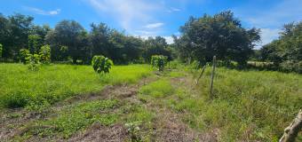 Lote listo para construir en San Pedro de Santa Cruz Guanacaste