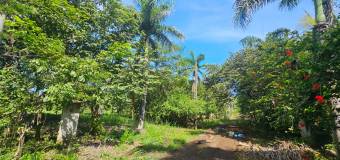 Lote listo para construir en San Pedro de Santa Cruz Guanacaste