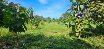 Lote listo para construir en San Pedro de Santa Cruz Guanacaste